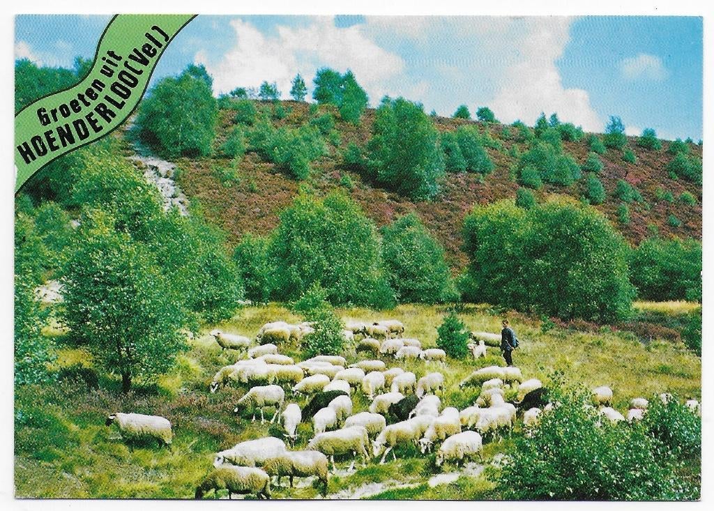 Hoenderloo Gelopen Ansichtkaart (B5899), Ophalen of Verzenden, 1980 tot heden, Gelopen