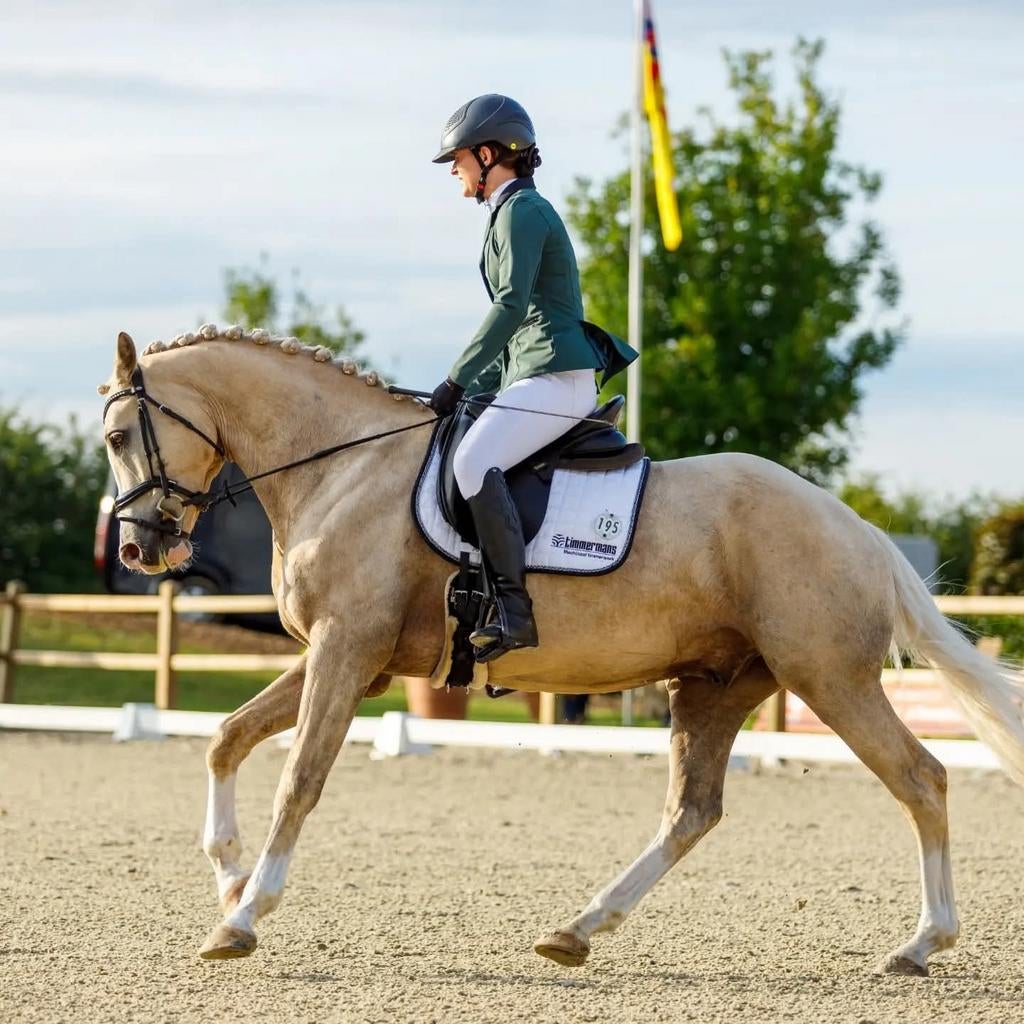 Allround ruiter zoekt paard om te trainen, Ophalen, Nieuw