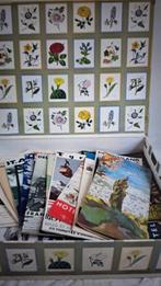 Verzameling reisgidsen en kaarten, Boeken, Reisgidsen, Ophalen of Verzenden