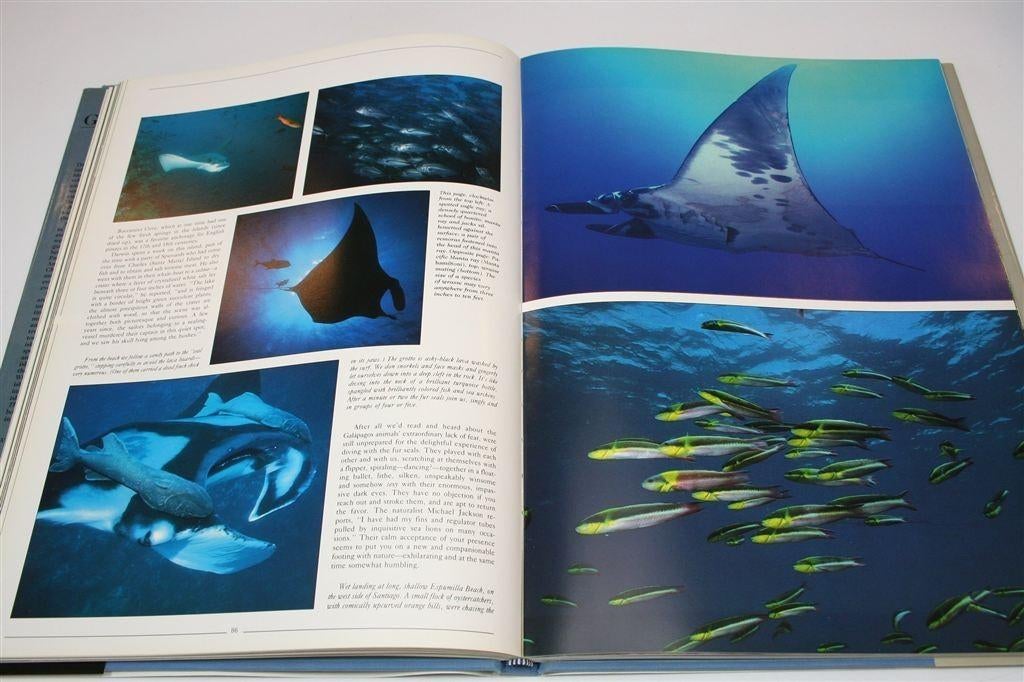 Galapagos — XL Fotoboek Natuur Eilanden, Boeken, Natuur, Ophalen of Verzenden, Gelezen, Natuur algemeen