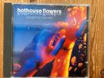 hothouse flowers, Ophalen of Verzenden, Zo goed als nieuw, Alternative
