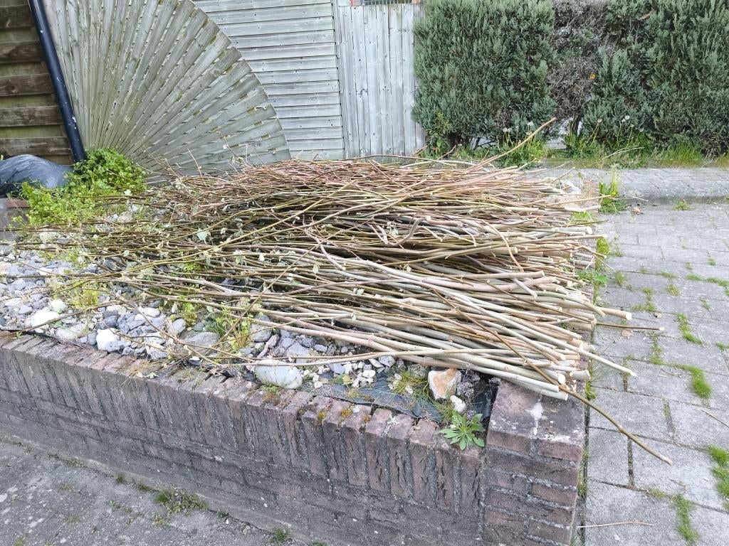 Gratis takken, Minder dan 3 m³, Ophalen, Takken