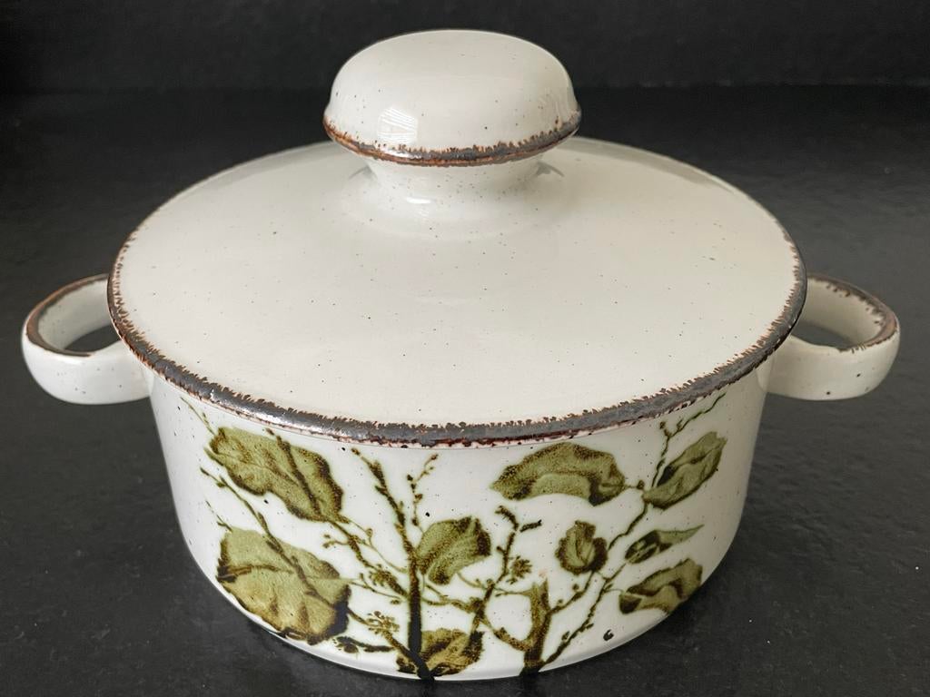 Vintage Wedgwood Greenleaves Midwinter Dek-Schaal Deksel, Overige materialen, Ophalen of Verzenden, Wedgwood, Schaal of Schalen