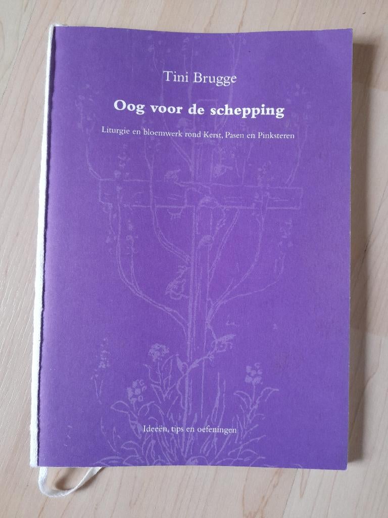 OOG VOOR DE SCHEPPING Tini Brugge Liturgie en bloemwerk, Ophalen of Verzenden, Gelezen