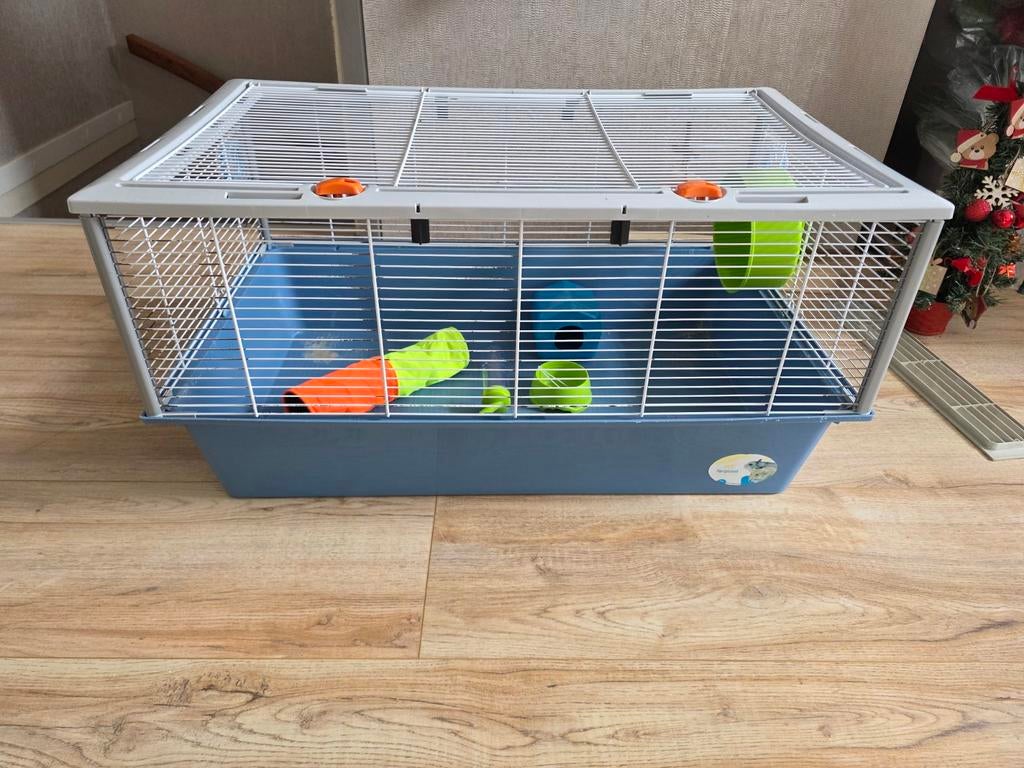 Hamster/ caviakooi, Ophalen, Kooi, Hamster, Minder dan 60 cm