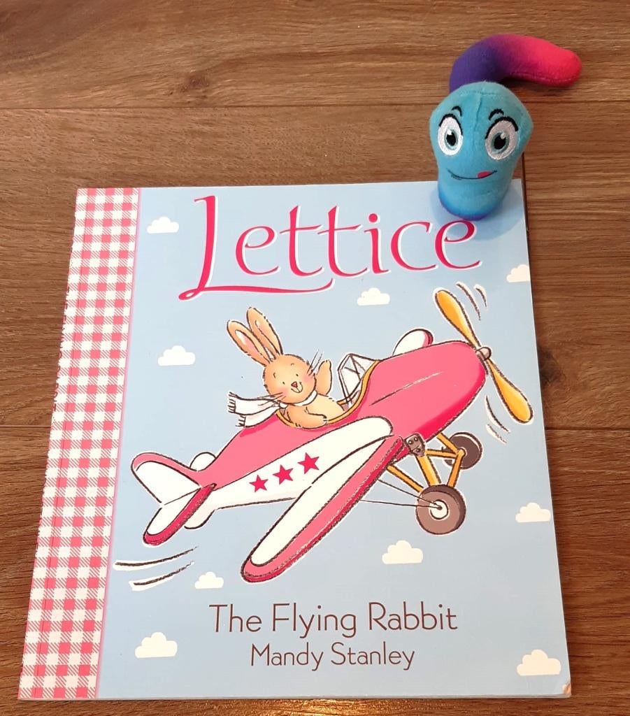 Lettice The Flying Rabbit Children's English Book, Ophalen of Verzenden, Gelezen, Mandy Stanley, Fictie