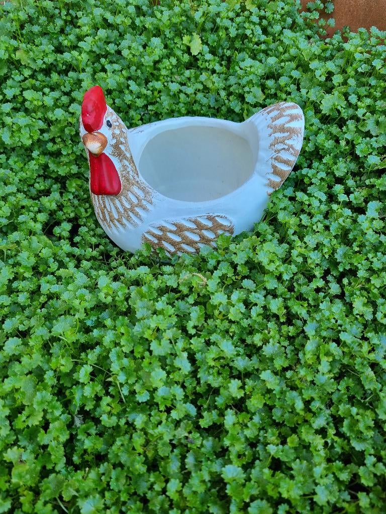 *** PAAS DECO KIP BLOEMPOT ***, Ophalen of Verzenden, Nieuw