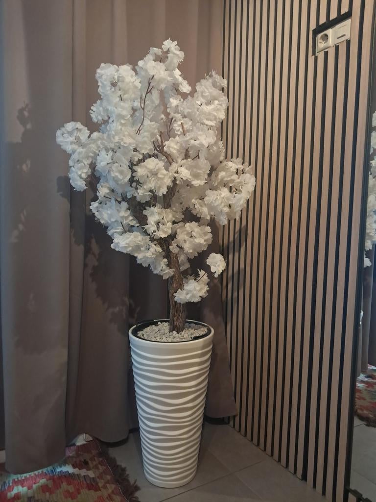 BLOESEMBOOM ACTIE, Ophalen