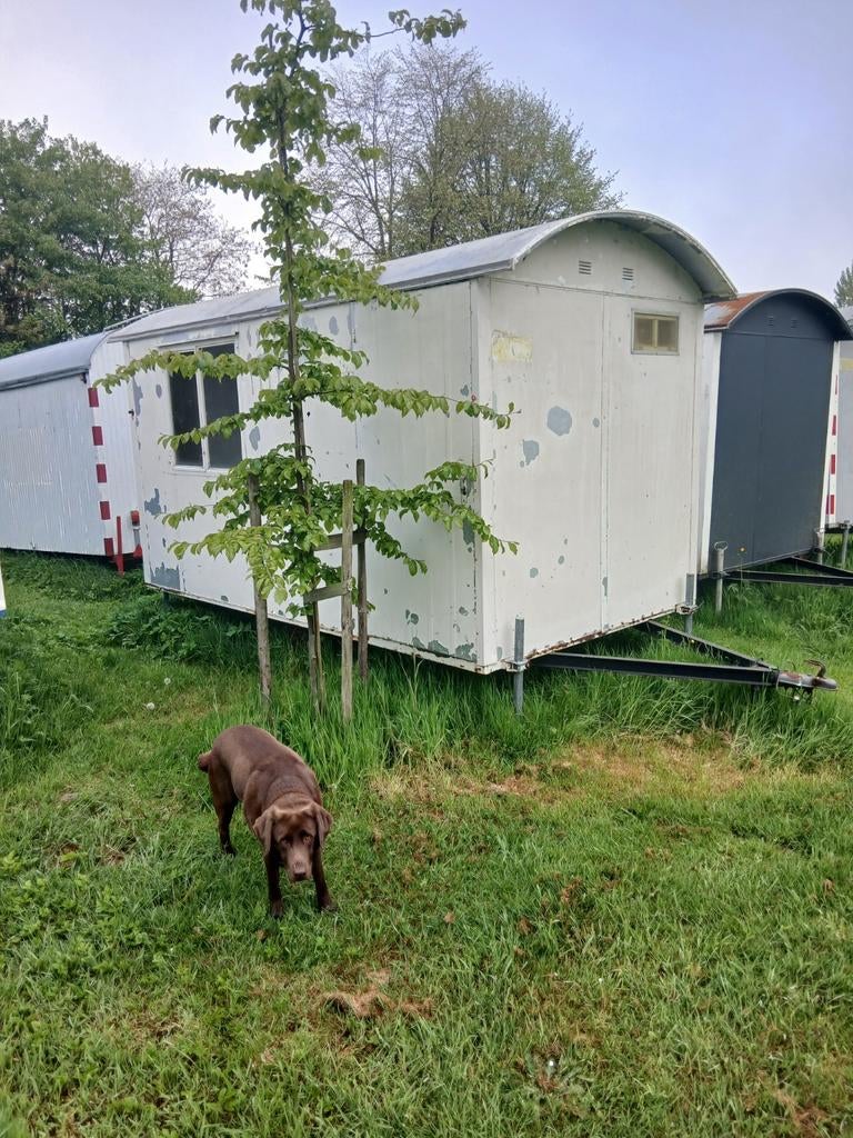 Tuinhuis werkruimte, Caravans en Kamperen, Ophalen of Verzenden