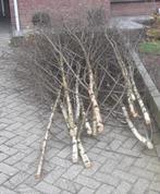 berkentakken, Ophalen, Nieuw, Materiaal