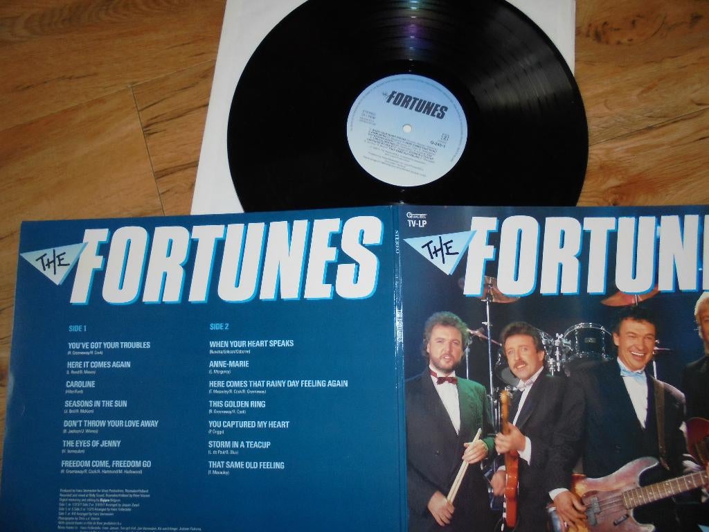 The Fortunes, Cd's en Dvd's, Vinyl | Pop, Ophalen of Verzenden, Gebruikt, 12 inch