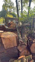 Coniferen stammen 4 kuub, Tuin en Terras, Haardhout, 3 tot 6 m³, Ophalen of Verzenden, Overige houtsoorten, Stammen