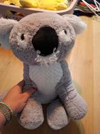 Koala Knuffel - Zachte Pluche Vriend, Ophalen, Zo goed als nieuw, Overige typen