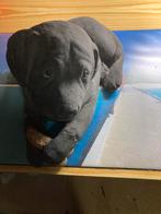 Stenen beeld, Tuin en Terras, Tuinbeelden, Ophalen, Gebruikt, Steen, Dierenbeeld