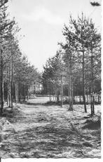Camping Hoeven., Ophalen of Verzenden, 1960 tot 1980, Ongelopen, Noord-Brabant