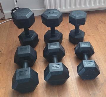 Dumbbell Halterset - 5kg, 7.5kg, 10kg beschikbaar voor biedingen