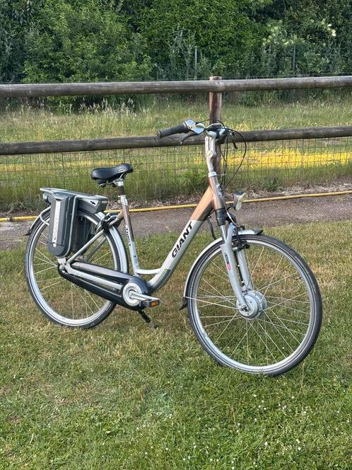 Giant Twist Double M 45km ZGAN, Fietsen en Brommers, Elektrische fietsen, Zo goed als nieuw, Overige merken, 51 tot 55 cm, 50 km per accu of meer