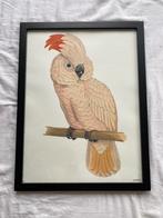 Poster in lijst, Ophalen of Verzenden, Zo goed als nieuw, Foto of Poster, Minder dan 50 cm
