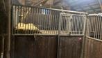 Paardenbox, Dieren en Toebehoren, Stalling en Weidegang