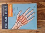 Anatomische Atlas Prometheus. 2e druk. isbn: 9789031379347, Boeken, Studieboeken en Cursussen, Beta, M. schünke, e. schulte, u. schumacher