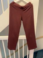 PUMA BORDEAUX SPORTS BROEK, MAAT; M, Kleding | Dames, Sportkleding, Maat 38/40 (M), Overige kleuren, Puma, Ophalen of Verzenden