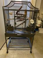 Te koop mooie vogelkooi, Dieren en Toebehoren, Vogels | Hokken en Kooien, Ophalen of Verzenden, Zo goed als nieuw, Metaal, Vogelkooi
