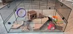 Mooie hamsterkooi, Dieren en Toebehoren, Ophalen, Kooi, Minder dan 60 cm
