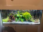 Prachtig wit juwel aquarium te koop compleet en goeddraaiend, Ophalen