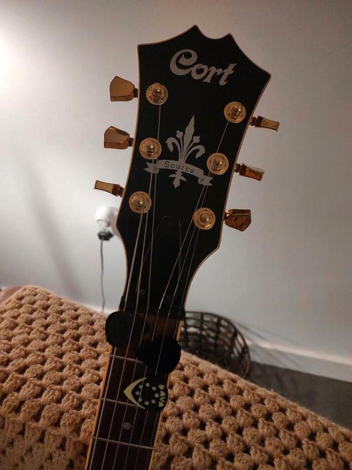 Cort Source ES-335 Kopie, Zeldzaam, Muziek en Instrumenten, Snaarinstrumenten | Gitaren | Elektrisch, Hollow body, Ophalen of Verzenden