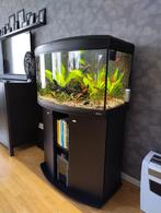 aquarium (compleet), Dieren en Toebehoren, Vissen | Aquaria en Toebehoren, Ophalen, Zo goed als nieuw, Gevuld zoetwateraquarium