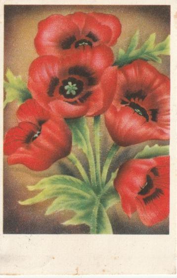 BLOEM BLOEMEN UIT 1954 MOOI OUDE KAART KH302 beschikbaar voor biedingen