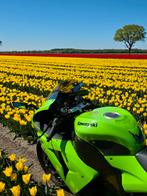Kawasaki Ninja ZX-10R 2006, Motoren, Motoren | Kawasaki, 4 cilinders, Motorrijbewijs A, Super Sport, Particulier