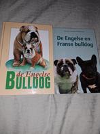 Engelse Bulldog 2x, Ophalen of Verzenden, Zo goed als nieuw, Honden