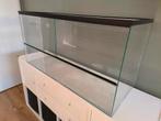 Terrarium, hamsterkooi, hamsterscape, Ophalen, 75 tot 110 cm, Kooi, Minder dan 60 cm