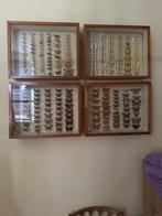 Binnenhuis interieur object  vitrines met europese vlinders, Ophalen, Gebruikt, Insect, Overige typen