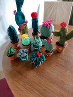 Cactussen, Gehaakte cactussen,, Hobby en Vrije tijd, Breien en Haken, Ophalen of Verzenden, Nieuw, Haken, Overige typen