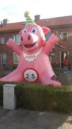 feestvarken huren opblaas feest varken te huur verhuur, Ophalen, Gebruikt, Overige