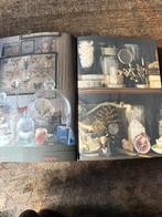 Thuiskomen etc. Sibella Court, Boeken, Sibella Court, Ophalen of Verzenden, Zo goed als nieuw, Interieur en Design