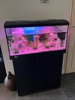 Diversa Aquarium ca 160, Dieren en Toebehoren, Vissen | Aquaria en Toebehoren, Ophalen, Gebruikt, Leeg aquarium