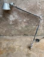 Artemide Tolemeo design bureaulamp met tafelklem, Italie, Gebruikt, 50 tot 75 cm, Design