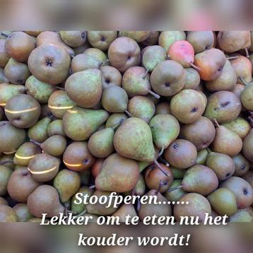 Stoofperen,  Gieser Wildeman beschikbaar voor biedingen