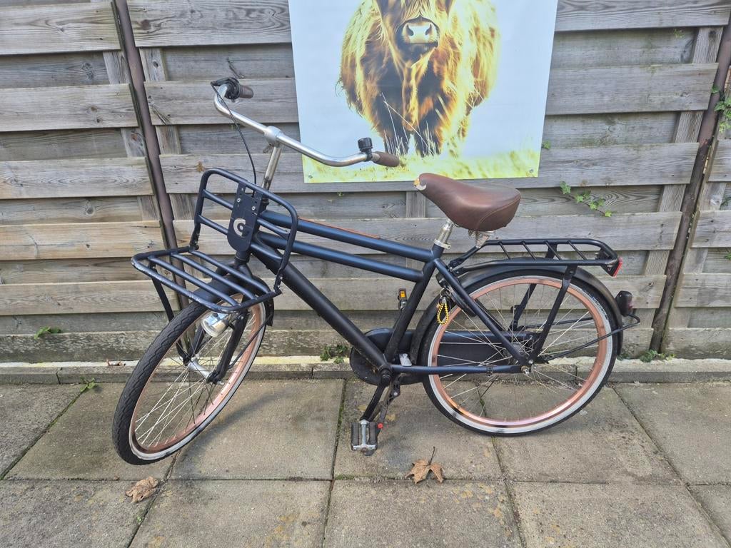 Cortina Transportfiets 24 inch met rek, Minder dan 49 cm, Ophalen, Gebruikt, Overige merken