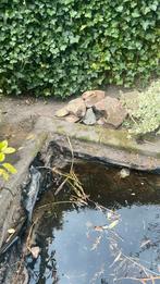 Rotsstenen, Tuin en Terras, Vijvers, Ophalen
