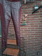 Donkerrode legging maat 40/42, Legging, Zwart, Maat 40/42 (M), Ophalen of Verzenden