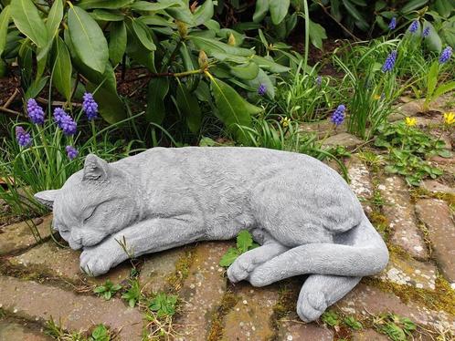 kat ,poes , beton, Verzamelen, Dierenverzamelingen, Nieuw, Beeldje of Figuurtje, Hond of Kat, Ophalen of Verzenden