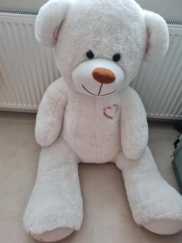Grote teddy beer beschikbaar voor biedingen