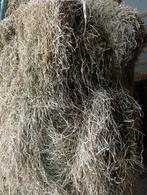 Alpaca hooi te koop, Ophalen of Verzenden, Vee