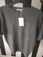 circle of trust, wol, grijs mt m, truitje kortere mouw, Kleding | Dames, Ophalen of Verzenden, Nieuw, Maat 38/40 (M), Grijs