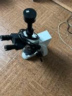 Te koop: Professionele microscoop, Hobby en Vrije tijd, Overige Hobby en Vrije tijd, Ophalen, Zo goed als nieuw