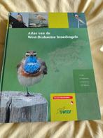 Atlas West-Brabantse Broedvogels, Boeken, Natuur, Ophalen of Verzenden, Zo goed als nieuw, Vogels, H. Bult, W. Poelmans, H. Sierdsema, R.M. Teixeira